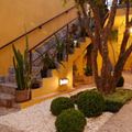 Jardim quase do Eden!